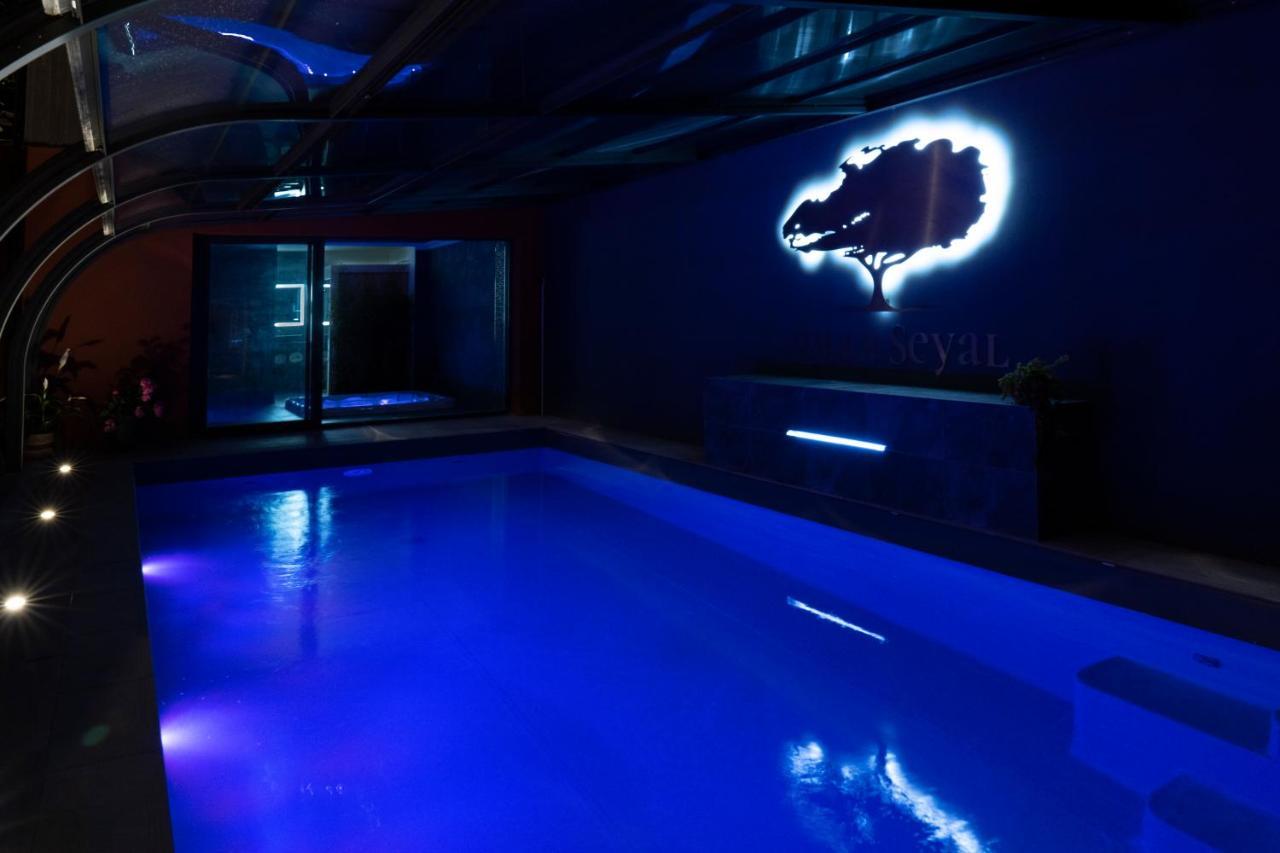 Villa Seyal - Avec Piscine - Jacuzzi - Sauna & Climatisation Le Mans Ngoại thất bức ảnh